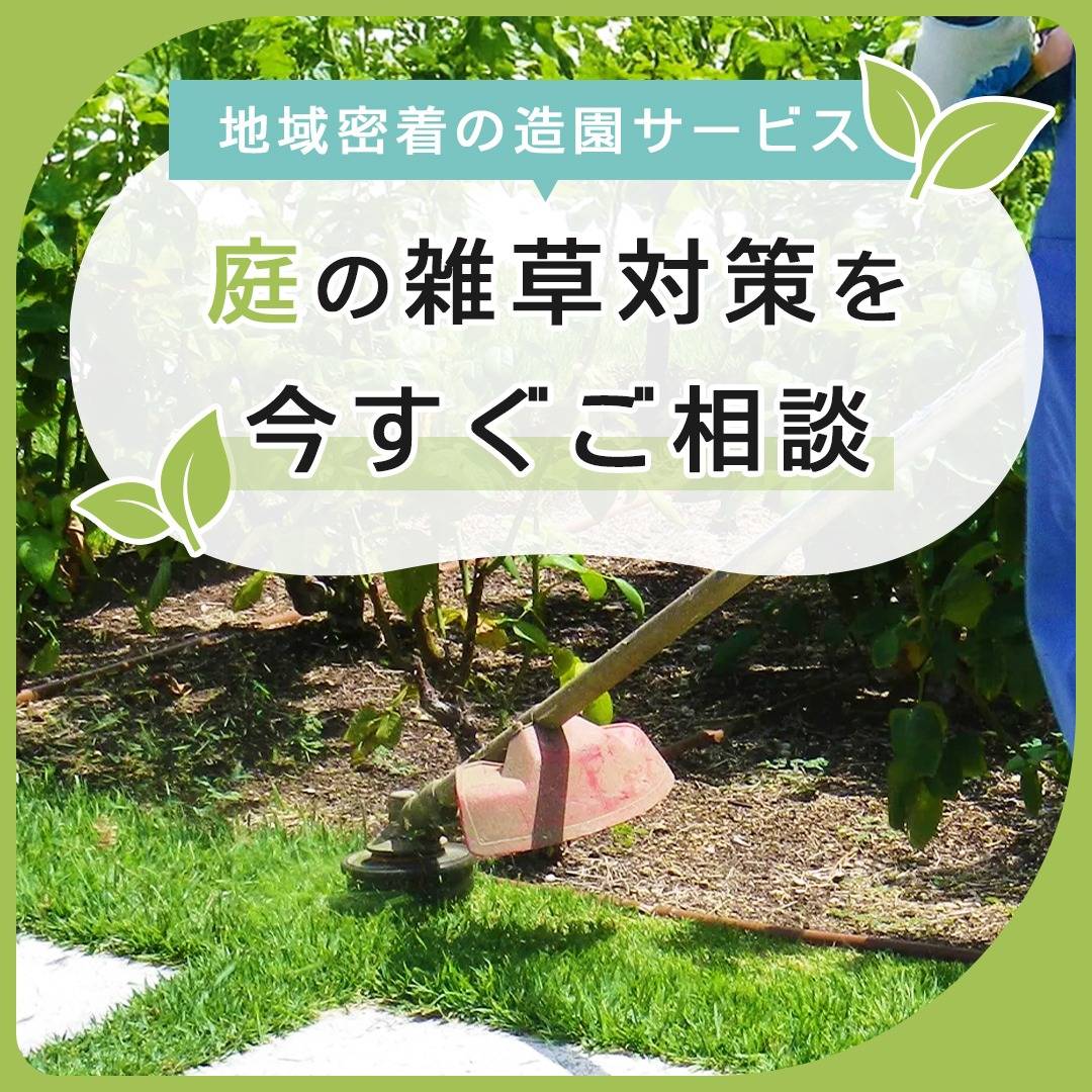 popup_banner